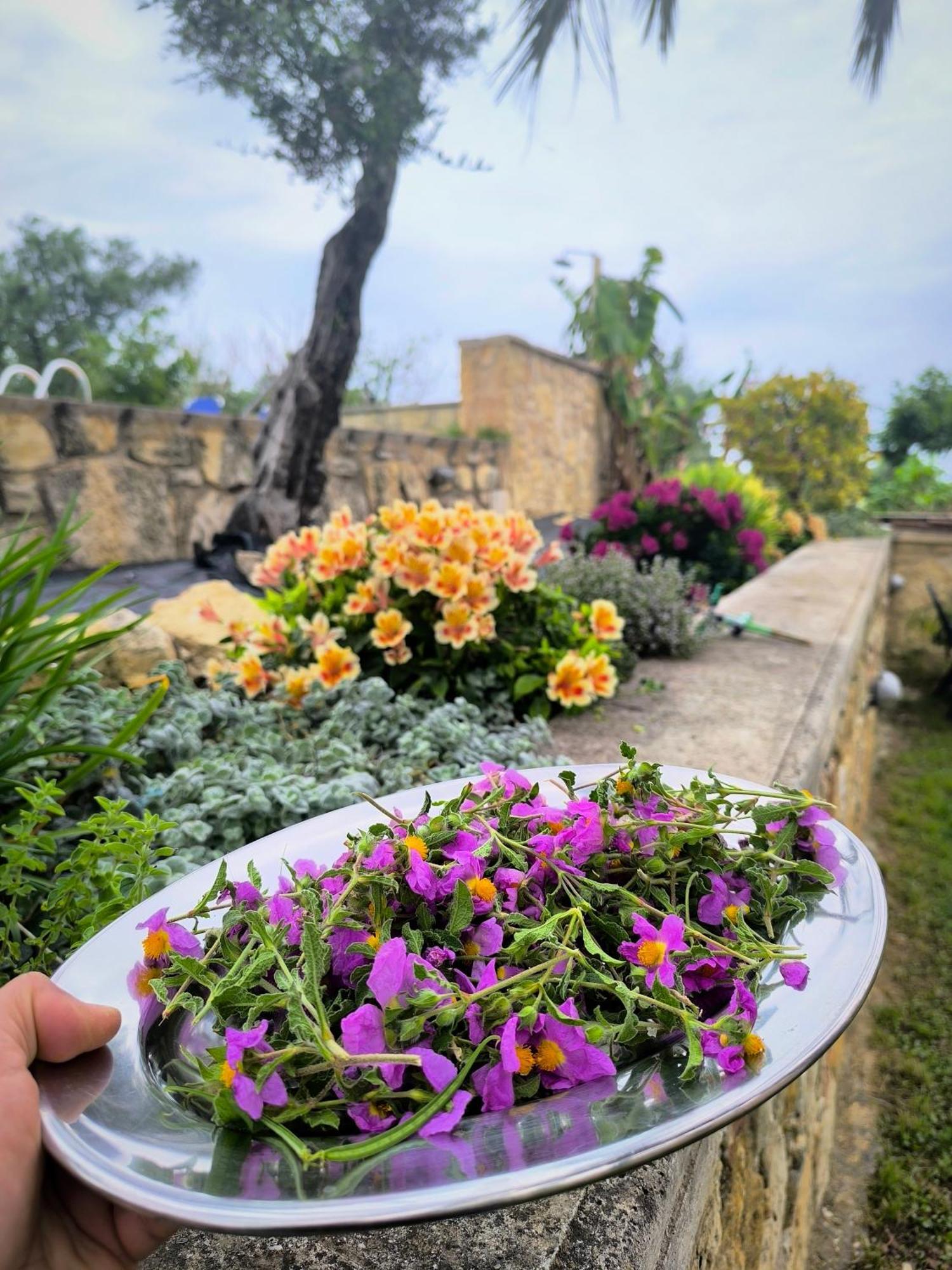 Villa Koulouridi Daratsos Ngoại thất bức ảnh